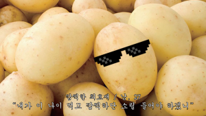 진정한 감자.png